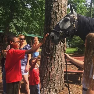 Day at the Barn Day at the Barn