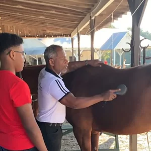 Internship Internship